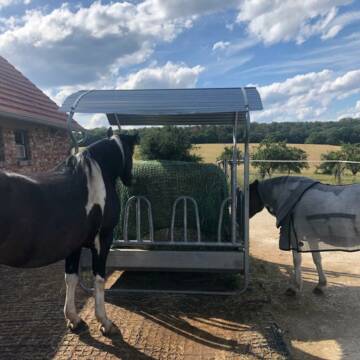 Bild: Stall in  Bebelsheim