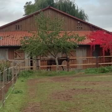 Bild: Stall in  Mühlacker
