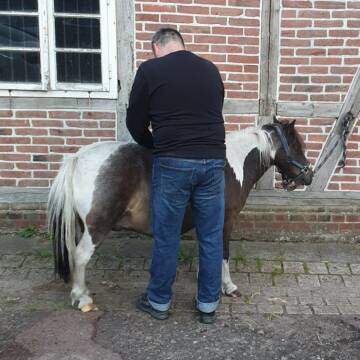 Bild: Service in  Dinslaken