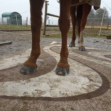 Bild: Service in  Niederwambach
