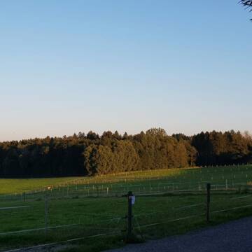 Bild: Stall in  Feldkirchen-Westerham