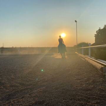 Bild: Stall in  Markgröningen