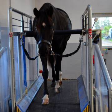 Bild: Stall in  Sturenhagen