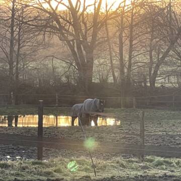 Bild: Stall in  Schwentinental
