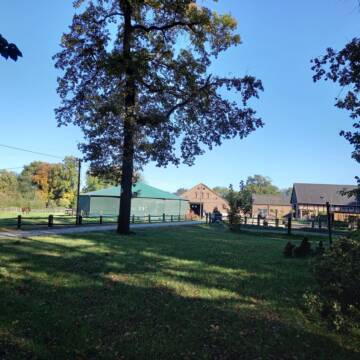 Bild: Stall in  Hassel