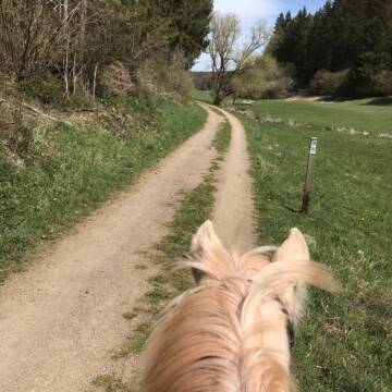 Bild: Stall in  Waldorf