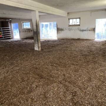 Bild: Stall in  Schliengen