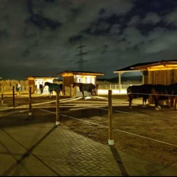 Bild: Stall in  Dortmund