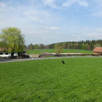 Mehrere Weiden für jede 2 - 8 er Gruppe Pferde