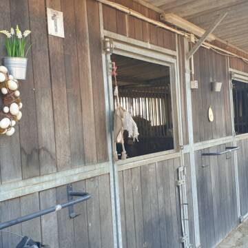 Bild: Stall in  Düsseldorf