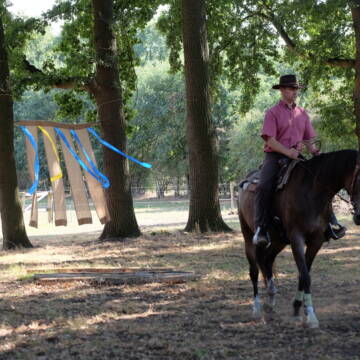 Bild: Stall in  Sulingen