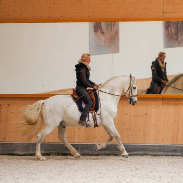 Bild: Stall in  Winterlingen