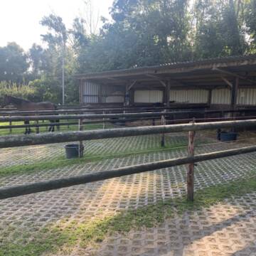 Bild: Stall in  Breberen