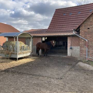 Bild: Stall in Hänigsen