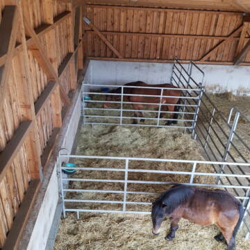 Bild: Stall in  Eicherloh