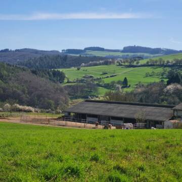 Bild: Stall in  Bad Münstereifel