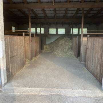 Bild: Stall in  Stegen