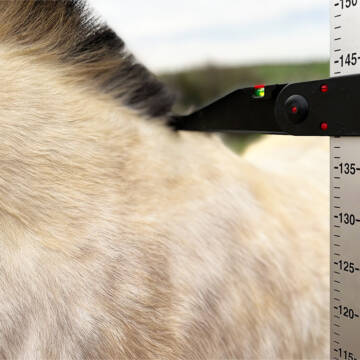 Bild: Service in  Häslach