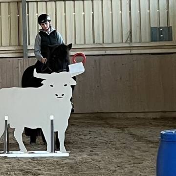 Regelmäßiger Working Equitation Unterricht