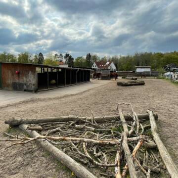 Großer Hauptpaddock mit Alt Holz Knabberecke