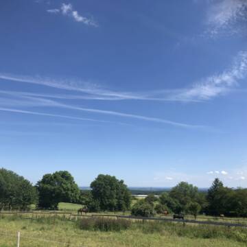 Bild: Stall in  Nideggen