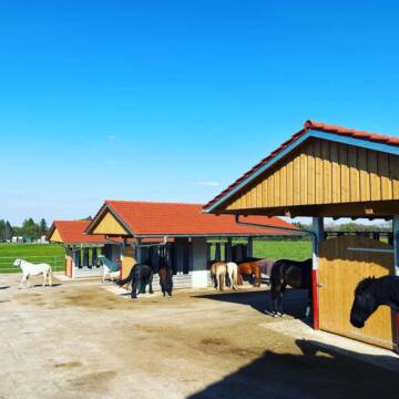 Bild: Stall in  Aying