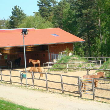 Bild: Stall in  Embsen
