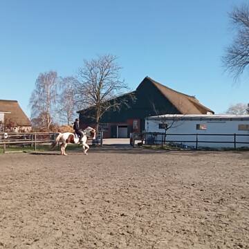 Bild: Stall in  Seester