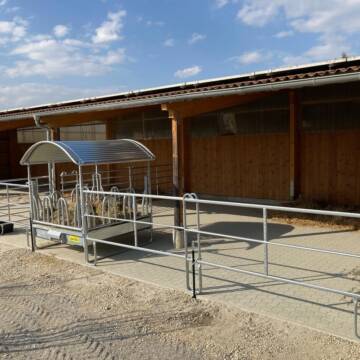 Bild: Stall in  Balingen