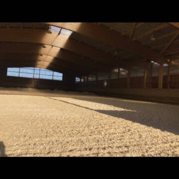 Bild: Stall in  Balingen