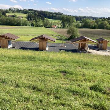 Bild: Stall in  Amerang