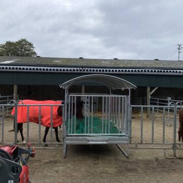 Paddock mit Liegeflächen