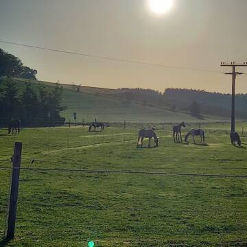 Bild: Stall in  Fultenbach