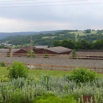 Bild: Stall in  Bad Orb