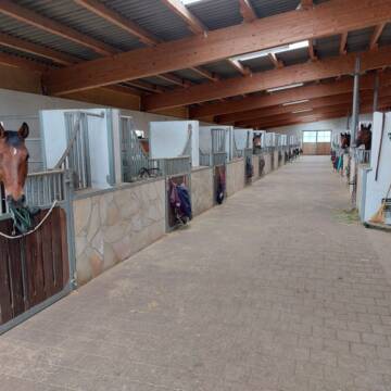 Bild: Stall in  Hohenstadt