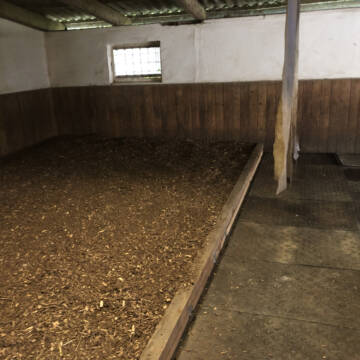 Waldboden und Gummimatten