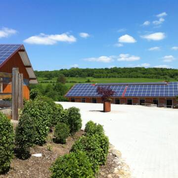 Bild: Stall in  Heiningen