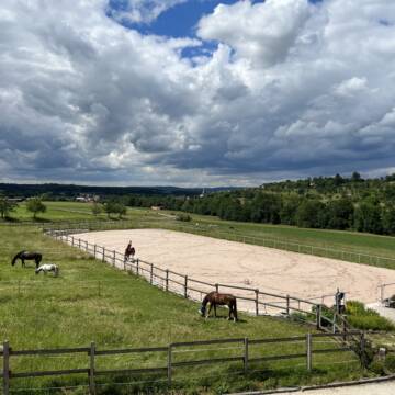 Bild: Stall in  Heiningen