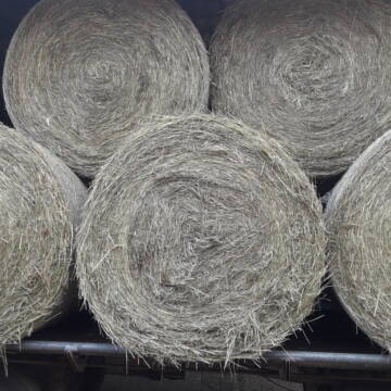 Bild: Futter & Einstreu in  Peine