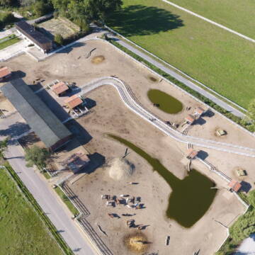 Bild: Stall in  Burgdorf