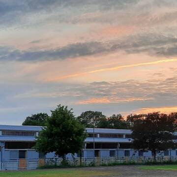 Bild: Stall in  Horst
