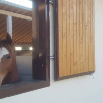 Bild: Stall in  Leipheim