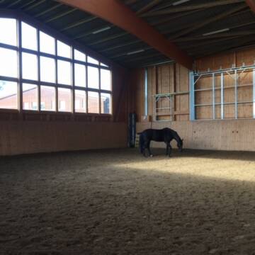 Bild: Stall in  Brechtorf