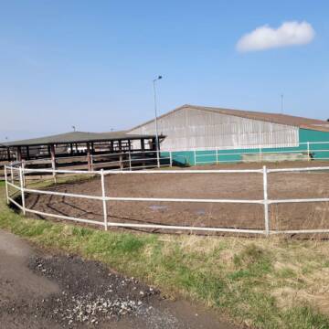 Longierzirkel und Führanlage