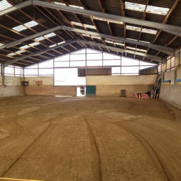 Kleine Halle zum Longieren& Laufen lassen