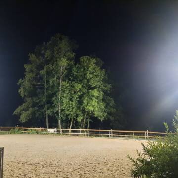 Bild: Stall in  Neukirchen am Inn