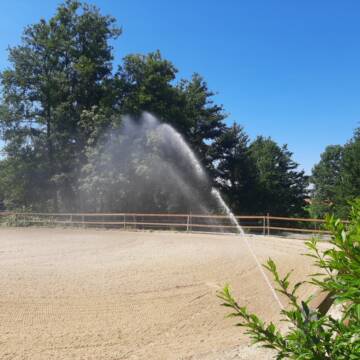 Bild: Stall in  Neukirchen am Inn