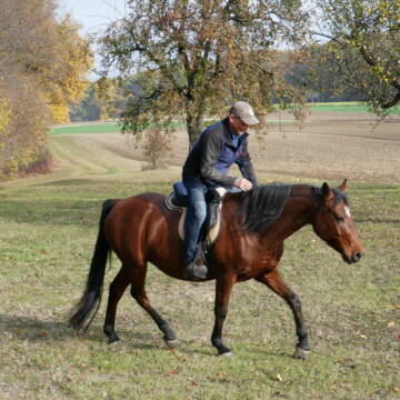 Bild: Reitbeteiligung in  Nürtingen