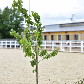 Bild: Stall in  Münchberg