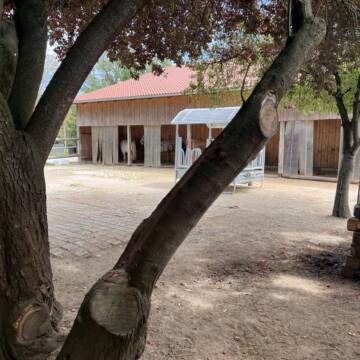 Bild: Stall in  Bergkirchen